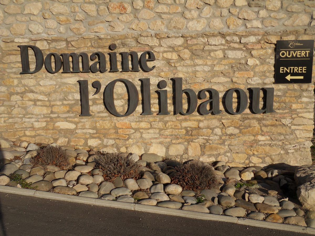 沃内勒Domaine De L'Olibaou住宿加早餐旅馆 外观 照片